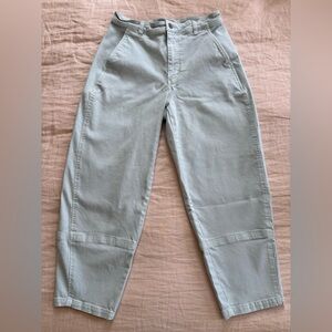 Everlane Utility Barrel Pants